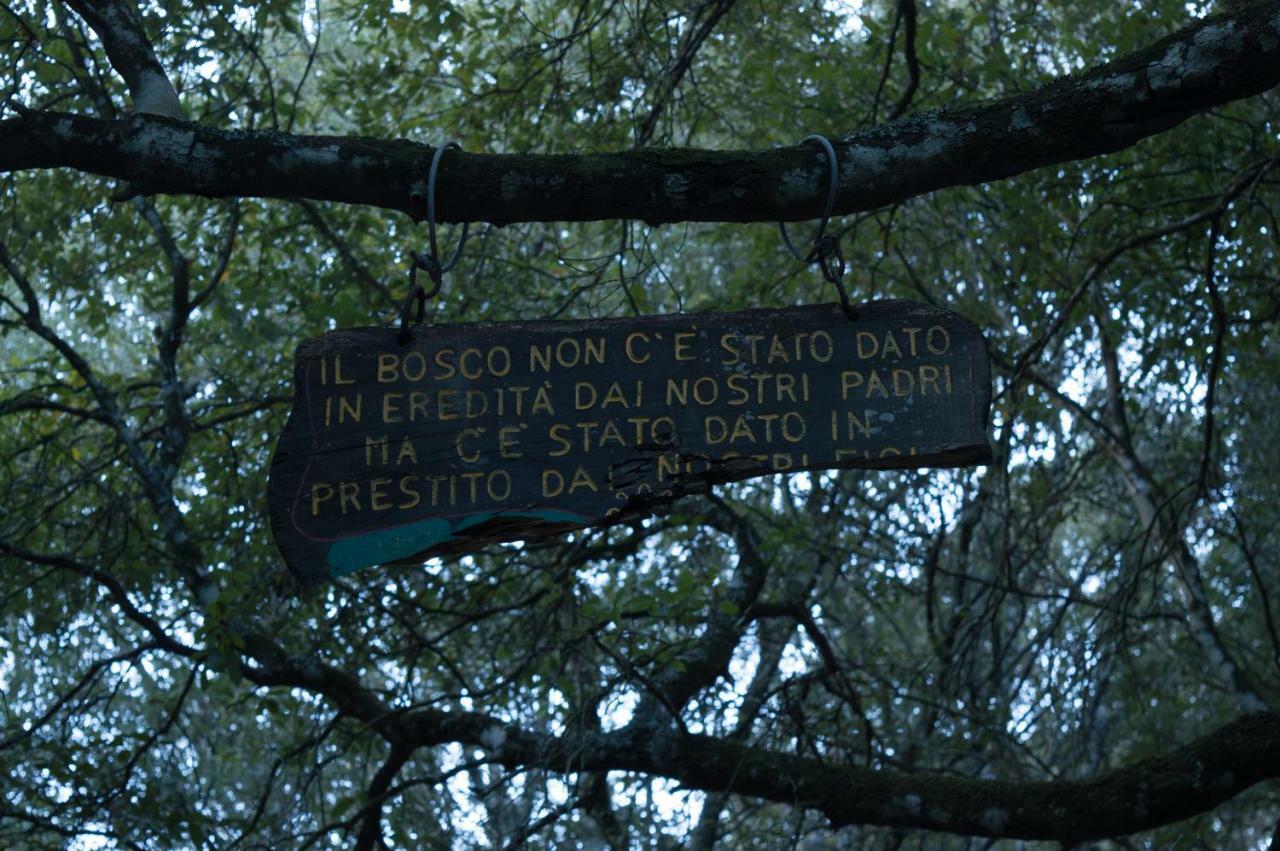 גונזה Nel Verde Del Villaggio - Casetta Celeste מראה חיצוני תמונה